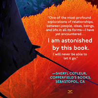 Playground: A Novel