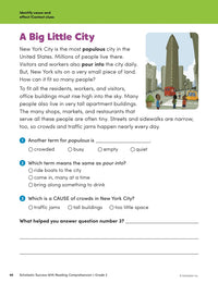 Scholastic Success with Reading Comprehension Grade 2 Workbook