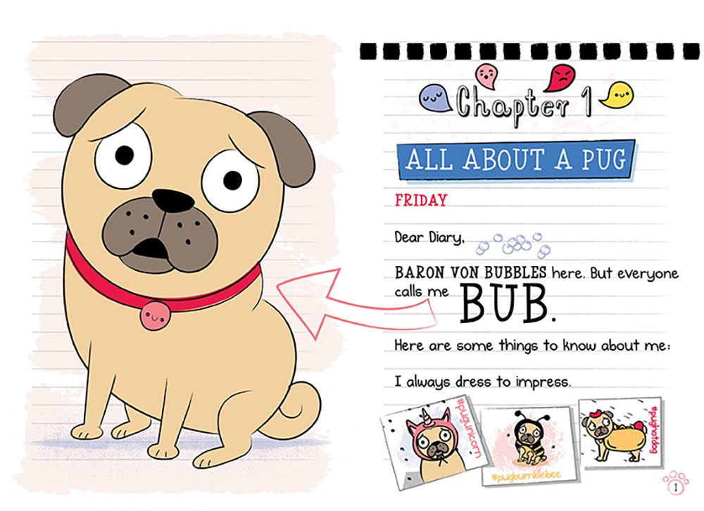 Beach Pug: A Branches Book (Diary of a Pug #10) (10)