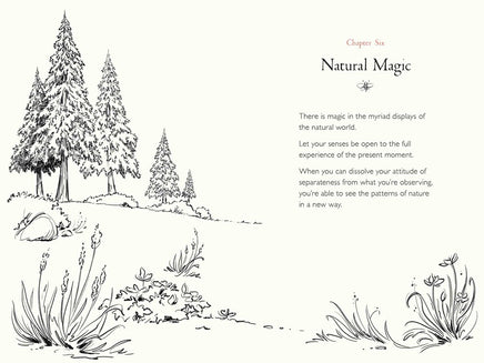 A Walk in the Wood: Meditations on Mindfulness with a Bear Named Pooh