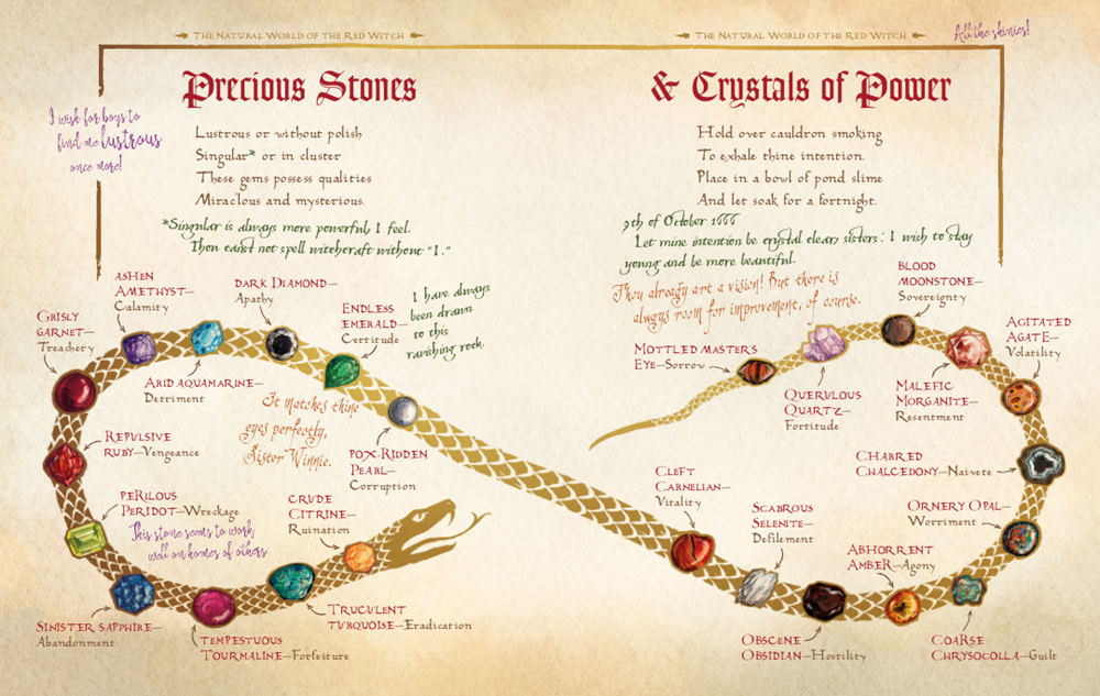 The Hocus Pocus Spell Book