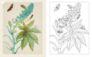 Maria Merian's Butterflies Coloring Book