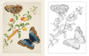 Maria Merian's Butterflies Coloring Book