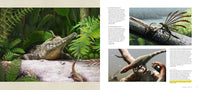 Mesozoic Art