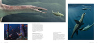 Mesozoic Art