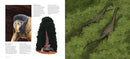 Mesozoic Art