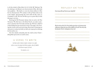 The Whole Story: A 52-Week Devotional Journey Through Every Book of the Bible - The Perfect Christian Christmas Gift
