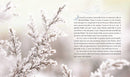 Jesus Calling for Christmas, Padded Hardcover, with Full Scriptures