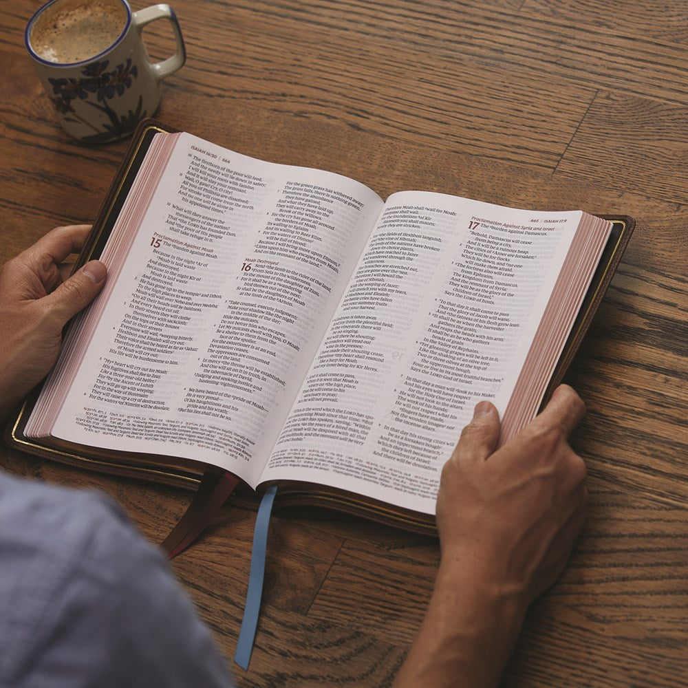 NKJV, Thinline Reference Bible, Large Print, Premium Goatskin Leather, Green, Premier Collection, Red Letter, Comfort Print