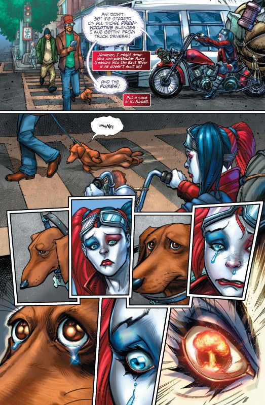 Harley Quinn Vol. 1: Hot in the City (The New 52)