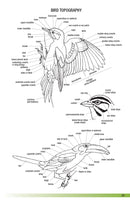 Field Guide to the Birds of Ecuador