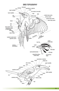 Field Guide to the Birds of Ecuador