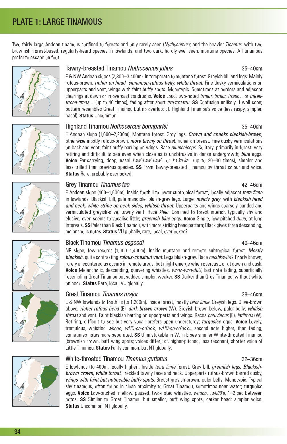 Field Guide to the Birds of Ecuador