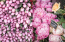Paris in Bloom