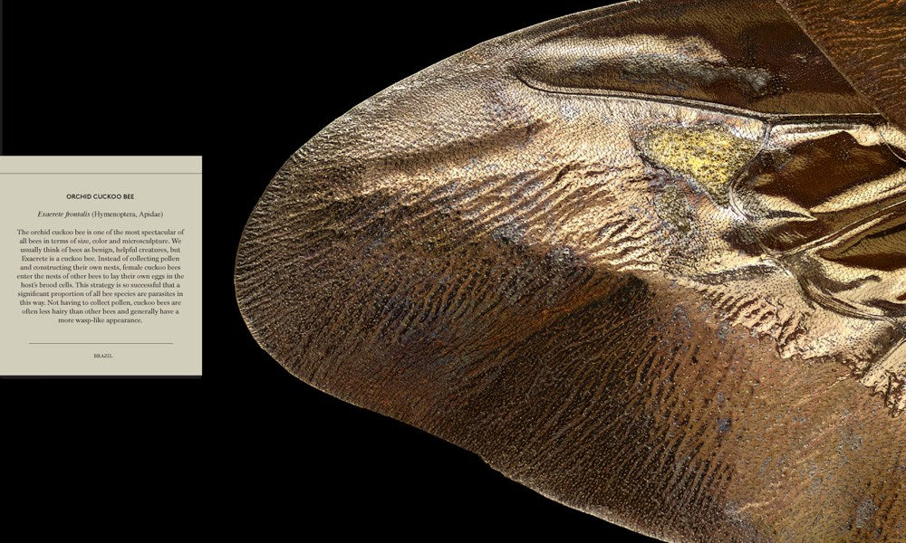 Microsculpture