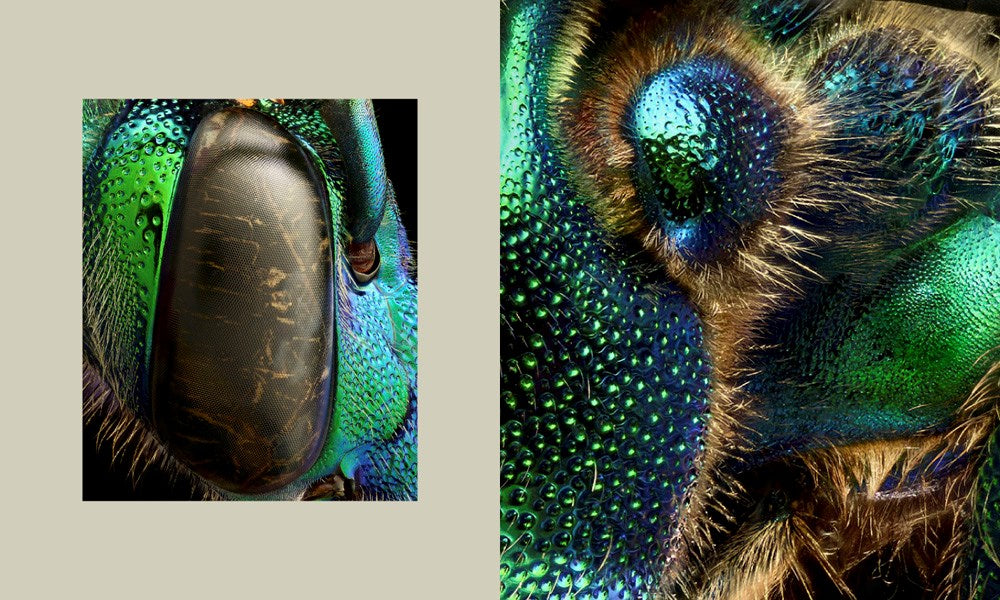 Microsculpture