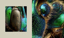 Microsculpture