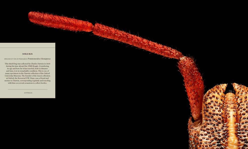 Microsculpture