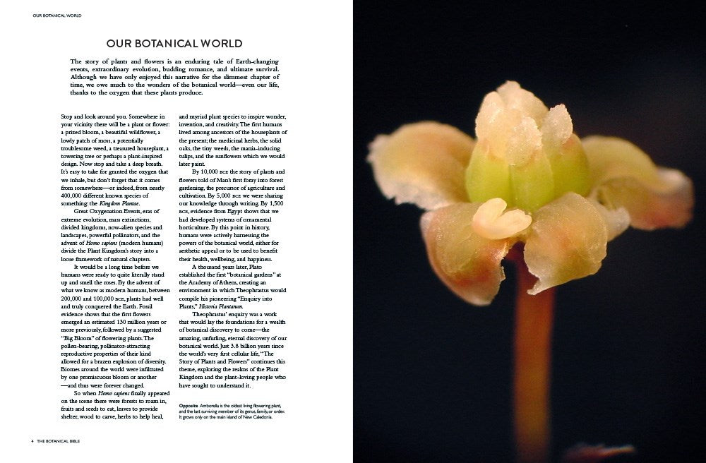 The Botanical Bible