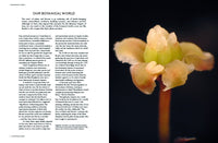 The Botanical Bible