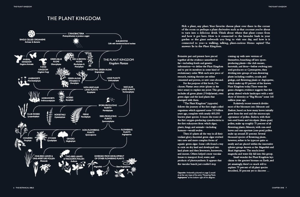 The Botanical Bible