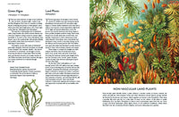 The Botanical Bible