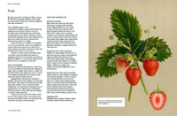 The Botanical Bible