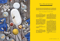 The Saltwater Table