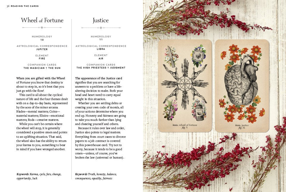 The Antique Anatomy Tarot Kit