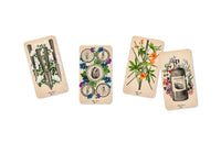 The Antique Anatomy Tarot Kit