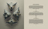 Collections, Catalogs & Exhibitions