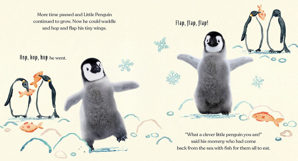 Goodnight, Little Penguin