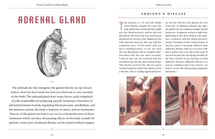 Nicole Angemi's Anatomy Book