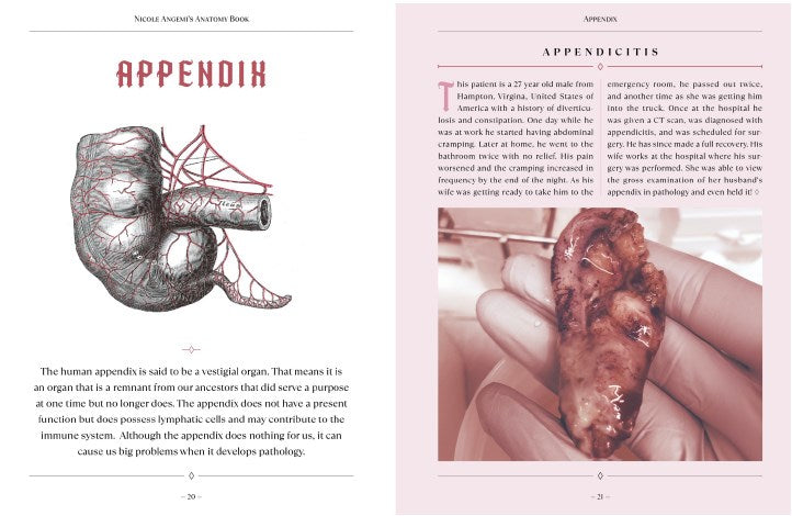 Nicole Angemi's Anatomy Book