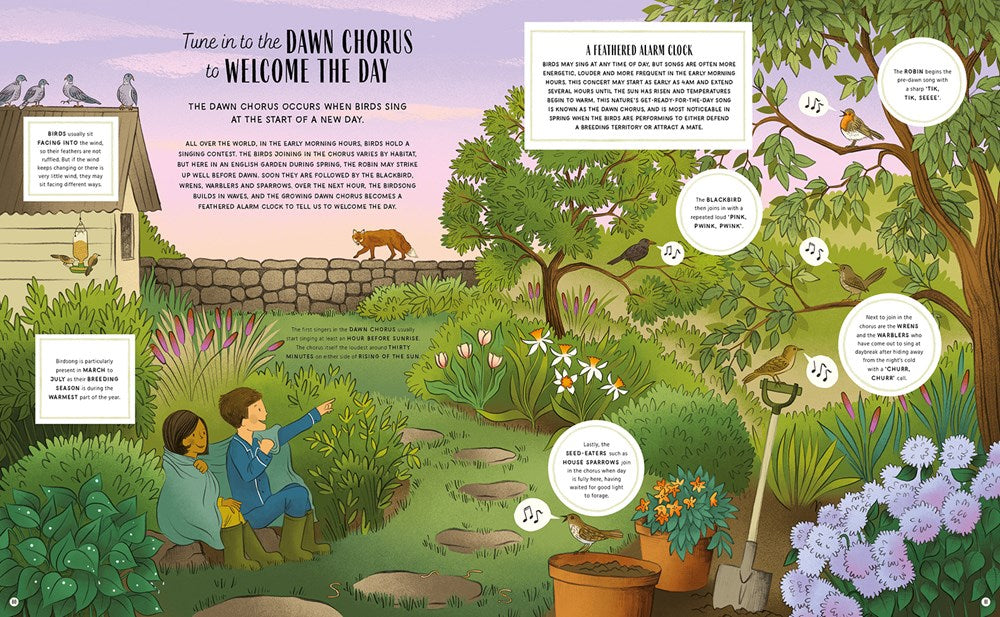 The Secret Signs of Nature