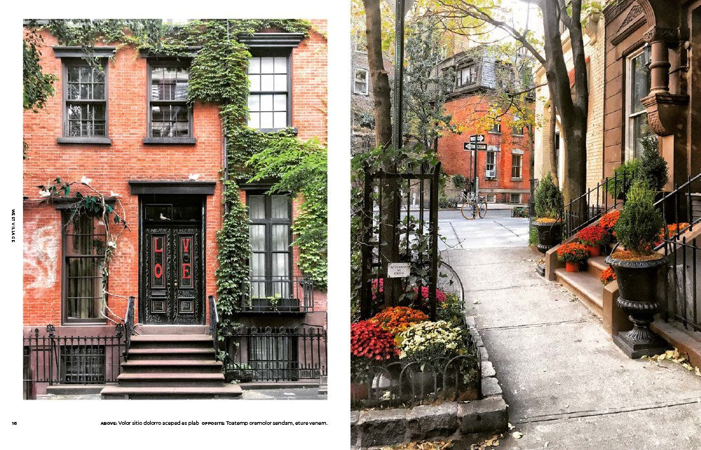 Walk With Me: New York: Photographs