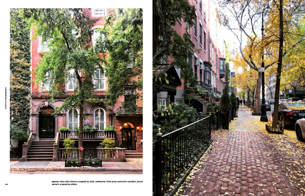 Walk With Me: New York: Photographs