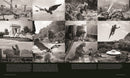 Godzilla: The First 70 Years: The Official Illustrated History of the Japanese Productions
