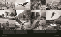 Godzilla: The First 70 Years: The Official Illustrated History of the Japanese Productions