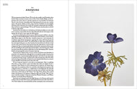 The Modern Flower Press