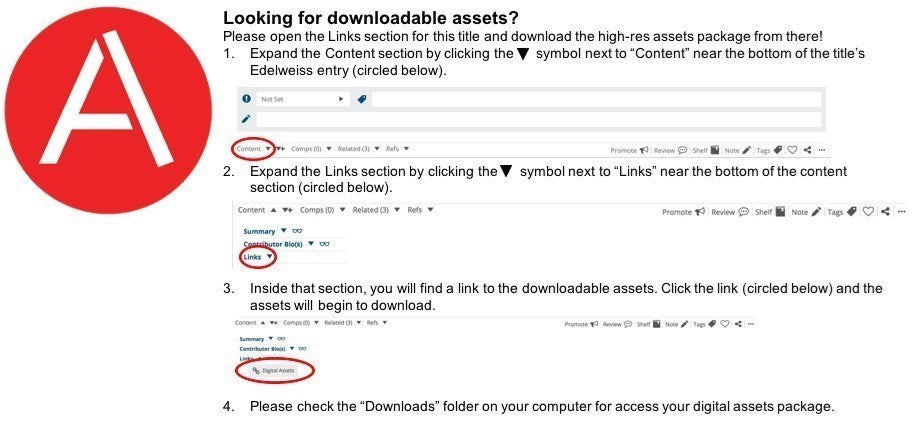 No Brainer (Diary of a Wimpy Kid #18)