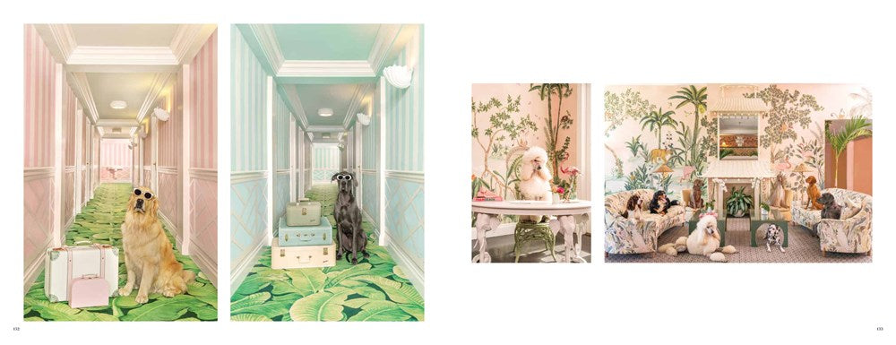 Gray Malin: Dogs: Photographs