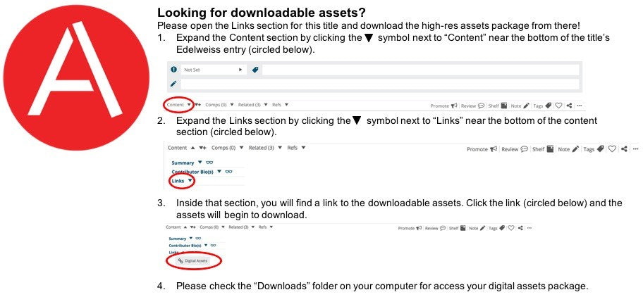 Skyshade (The Lightlark Saga Book 3)