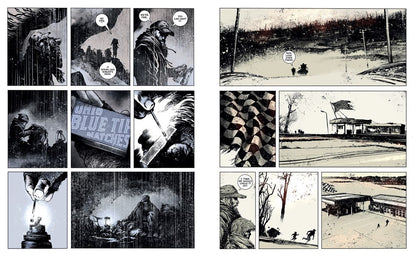 The Road: A Graphic Novel Adaptation