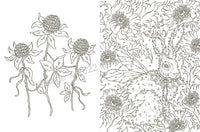 Tales from the Witch's Cottage