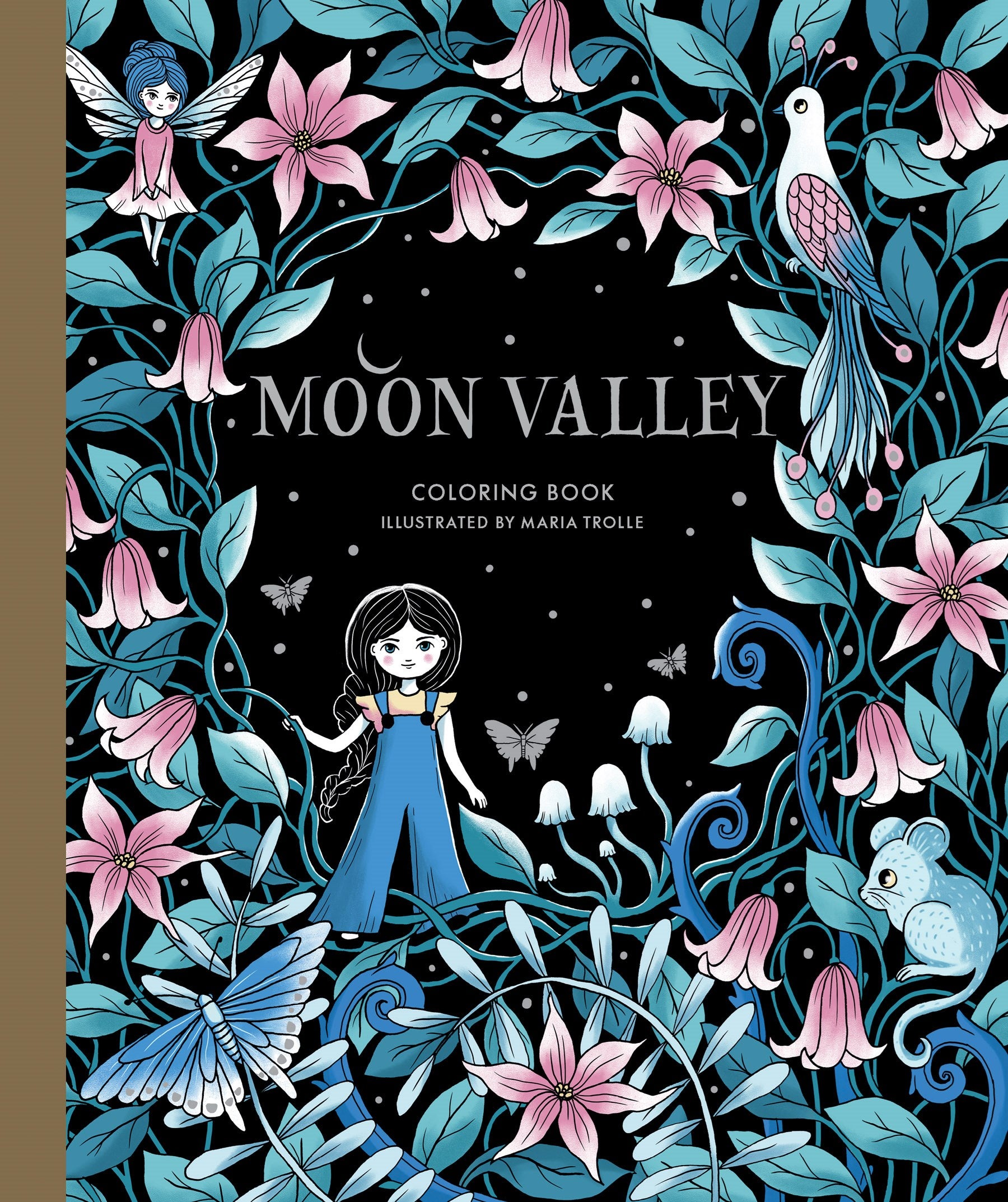 Moon Valley Coloring Book