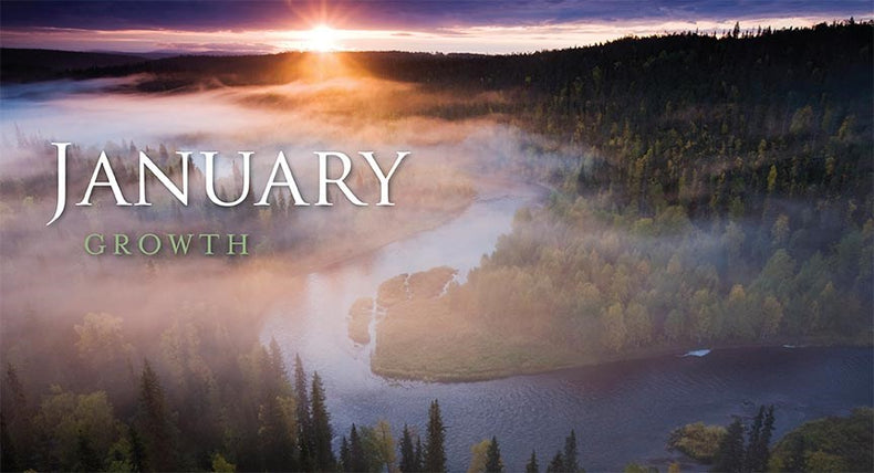 Daily Gratitude