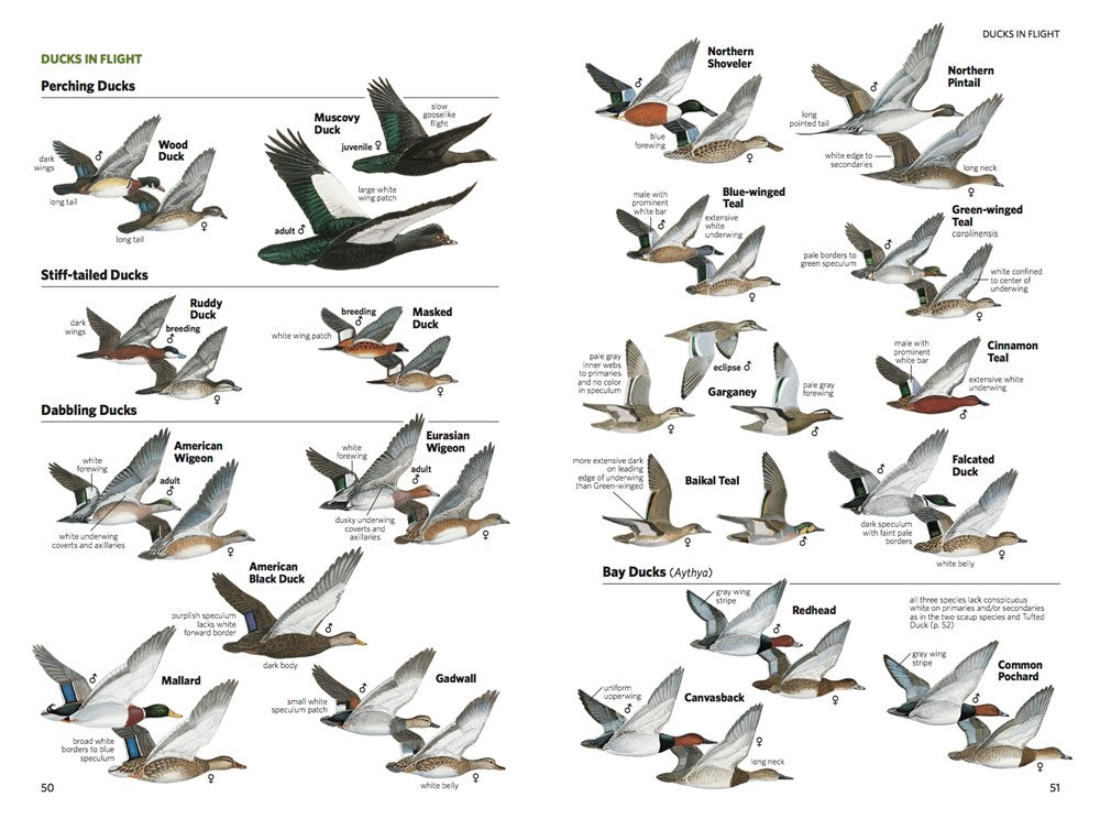 National Geographic Field Guide to the Birds of North America, 7th Edition