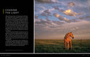 National Geographic Photo Basics: The Ultimate Beginner's Guide to Great Photography
