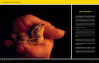 National Geographic Photo Basics: The Ultimate Beginner's Guide to Great Photography